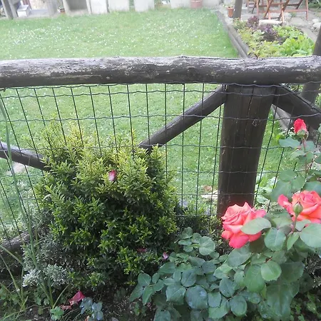 Le Antiche Pietre * Ortignano Raggiolo
